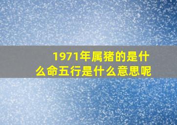 1971年属猪的是什么命五行是什么意思呢