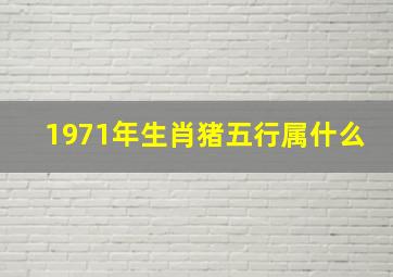 1971年生肖猪五行属什么