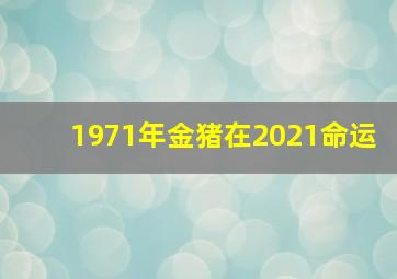 1971年金猪在2021命运