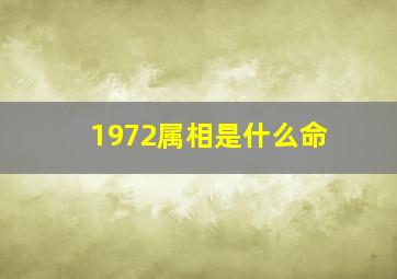 1972属相是什么命