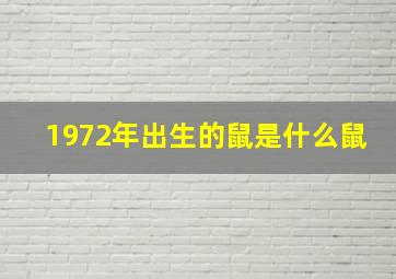 1972年出生的鼠是什么鼠