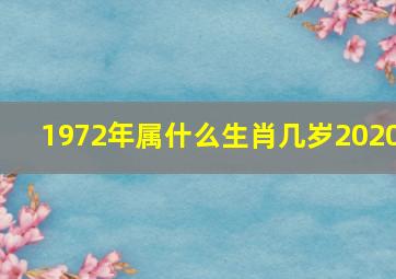 1972年属什么生肖几岁2020