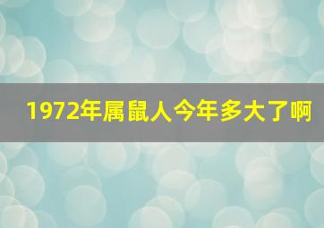 1972年属鼠人今年多大了啊