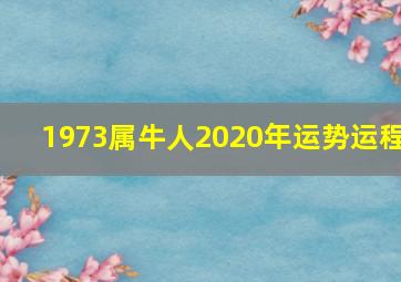 1973属牛人2020年运势运程