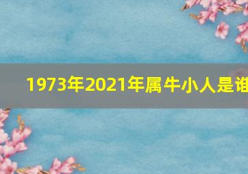 1973年2021年属牛小人是谁