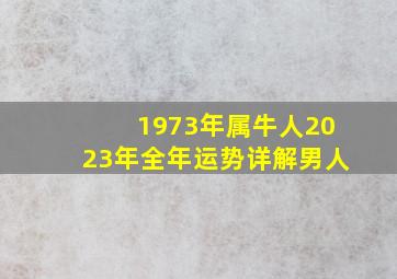 1973年属牛人2023年全年运势详解男人