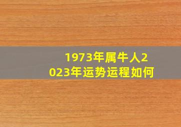 1973年属牛人2023年运势运程如何