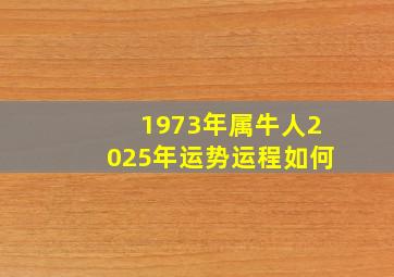 1973年属牛人2025年运势运程如何