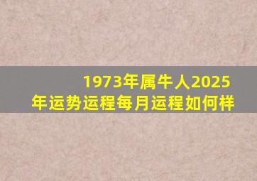 1973年属牛人2025年运势运程每月运程如何样