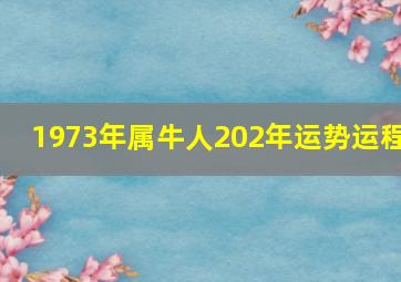 1973年属牛人202年运势运程