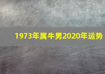 1973年属牛男2020年运势