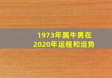 1973年属牛男在2020年运程和运势