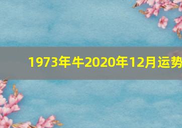 1973年牛2020年12月运势