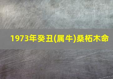 1973年癸丑(属牛)桑柘木命