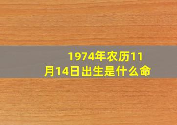 1974年农历11月14日出生是什么命