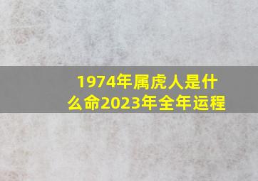 1974年属虎人是什么命2023年全年运程