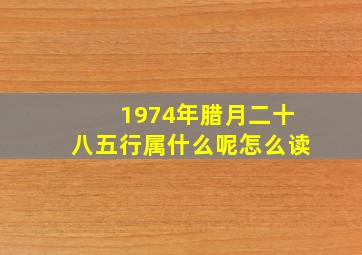 1974年腊月二十八五行属什么呢怎么读