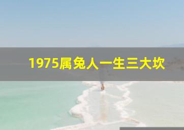 1975属兔人一生三大坎