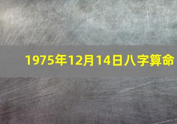 1975年12月14日八字算命