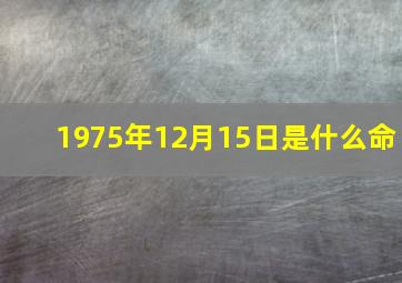 1975年12月15日是什么命