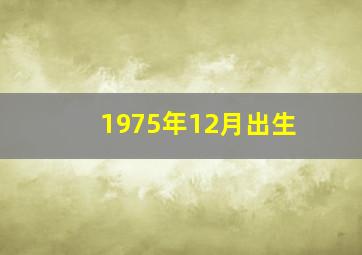 1975年12月出生