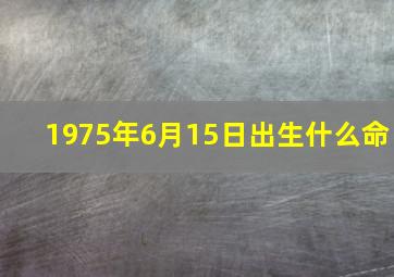 1975年6月15日出生什么命