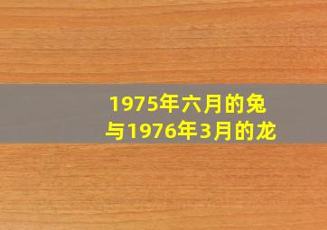 1975年六月的兔与1976年3月的龙