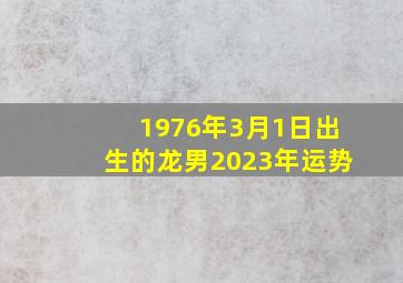 1976年3月1日出生的龙男2023年运势