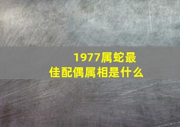 1977属蛇最佳配偶属相是什么