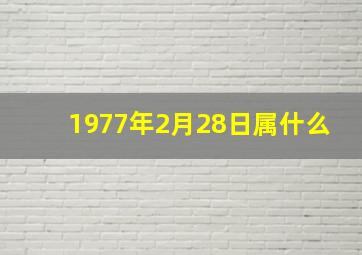 1977年2月28日属什么