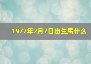 1977年2月7日出生属什么