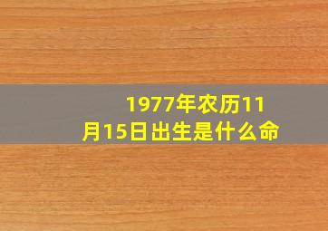 1977年农历11月15日出生是什么命