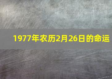 1977年农历2月26日的命运