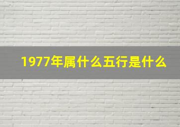 1977年属什么五行是什么