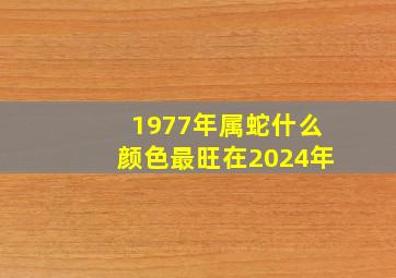 1977年属蛇什么颜色最旺在2024年