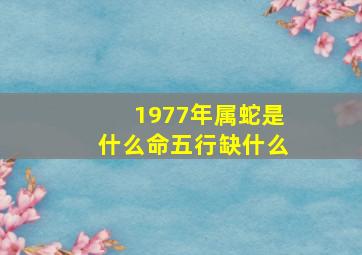 1977年属蛇是什么命五行缺什么