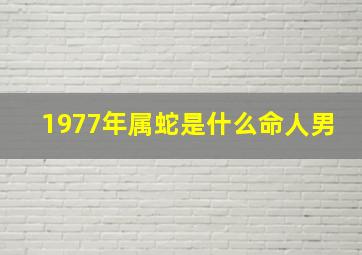 1977年属蛇是什么命人男