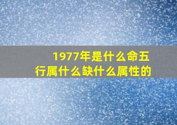 1977年是什么命五行属什么缺什么属性的