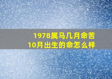 1978属马几月命苦10月出生的命怎么样