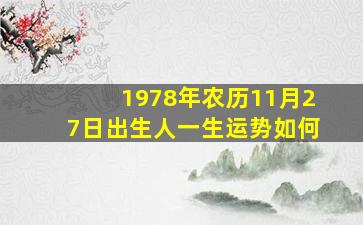 1978年农历11月27日出生人一生运势如何