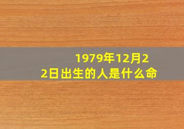 1979年12月22日出生的人是什么命