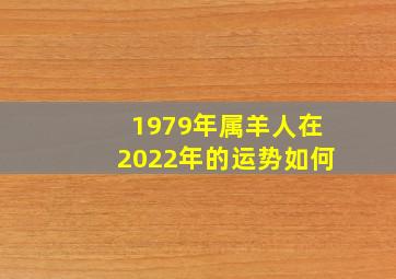 1979年属羊人在2022年的运势如何