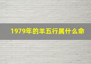 1979年的羊五行属什么命