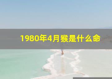 1980年4月猴是什么命