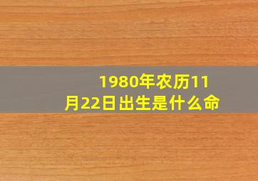 1980年农历11月22日出生是什么命