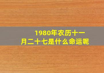 1980年农历十一月二十七是什么命运呢