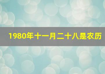 1980年十一月二十八是农历