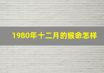 1980年十二月的猴命怎样