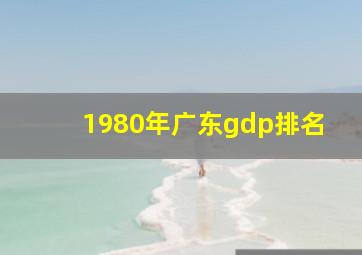 1980年广东gdp排名