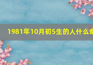 1981年10月初5生的人什么命